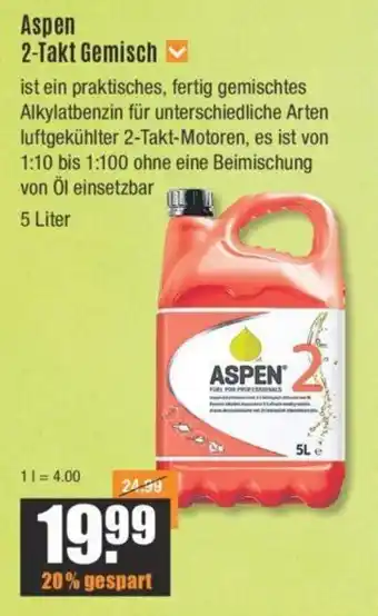 V Baumarkt Aspen 2 Takt Gemisch 5 Liter Angebot