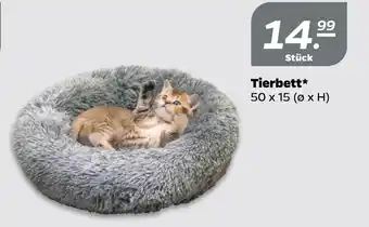 NETTO Tierbett 50 x 15 Angebot