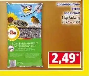 Norma Sonnenblumenkerne ungeschält Angebot