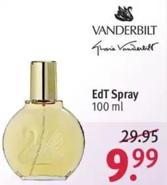 Rossmann Vanderbilt EdT Spray 100 ml Angebot