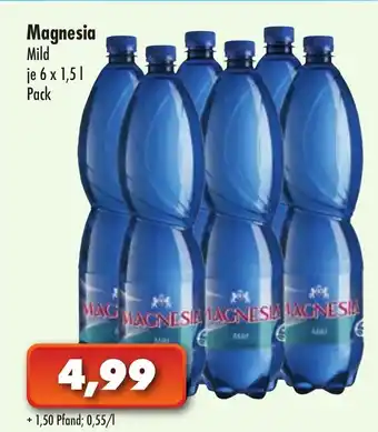 Lösch Depot Magnesia Mild 6x1,5L Angebot