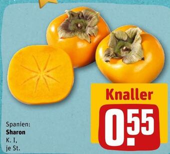 REWE Sharon Angebot