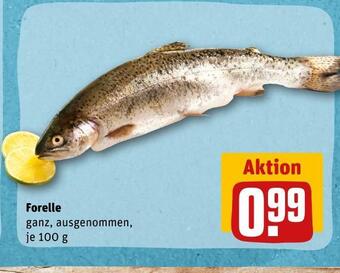 REWE Forelle Angebot