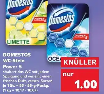 Kaufland Domestos WC Stein Power 5, 53-55 g Packg. Angebot