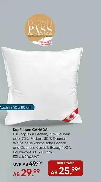 Galeria Kopfkissen canada Angebot