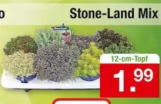 Zimmermann Stone-land mix Angebot