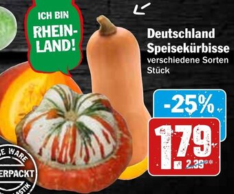 HIT Deutschland Speisekürbisse Angebot