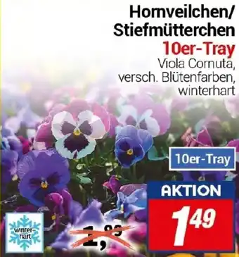 CENTERSHOP Homveilchen/Stiefmütterchen 10er-Tray Angebot