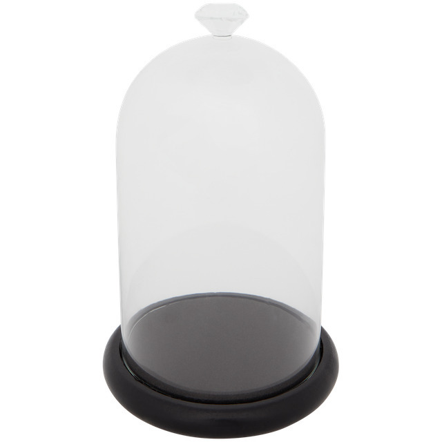Glasglocke Angebot bei Action