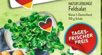 Aldi Nord Natur Lieblinge Feldsalat 150 g Schale Angebot