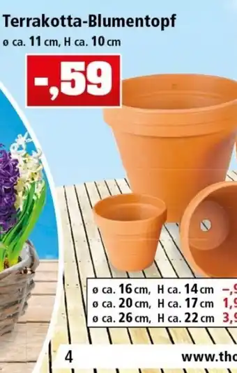 Thomas Philipps Terrakotta Blumentopf Angebot