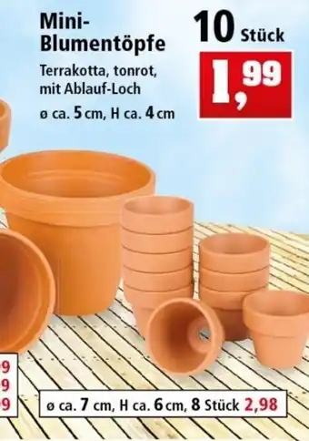 Thomas Philipps Mini Blumentöpfe Angebot