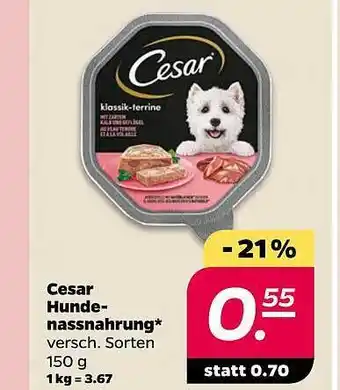 NETTO Cesar hundenassnahrung Angebot