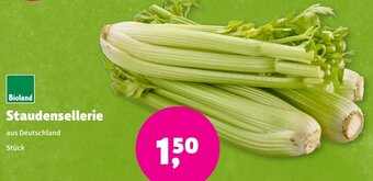 Biomarkt Staudensellerie Angebot