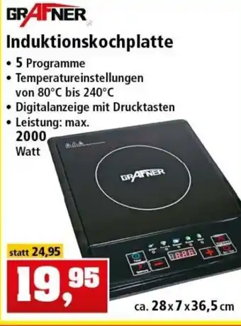 Thomas Philipps Grafner Induktionskochplatte Angebot