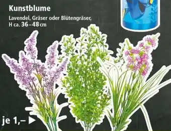 Thomas Philipps Kunstblume Angebot