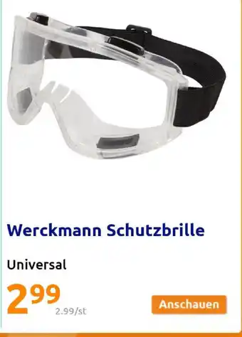 Action Werckmann Shutzbrille Angebot