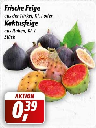 Simmel Frische Feige oder Kaktusfeige Angebot