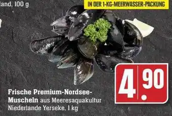 Scheck-in-Center Frische premium-nordsee muscheln Angebot