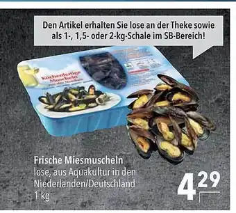 CITTI Markt Frische miesmuscheln Angebot