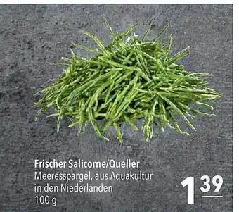 CITTI Markt Frischer salicorne-queller Angebot