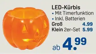 Rossmann Led-kürbis Angebot