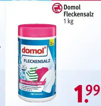 Rossmann Domol fleckensalz Angebot