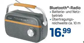 Rossmann Ideenwelt bluetooth-radio Angebot