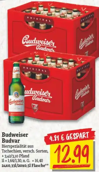 NP Discount Budweiser Budvar 24x0,33L/20x0,5L Flasche Angebot