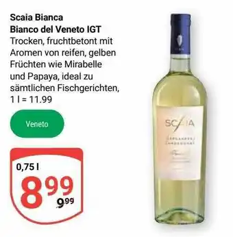 Globus Scaia bianca bianco del veneto igt Angebot