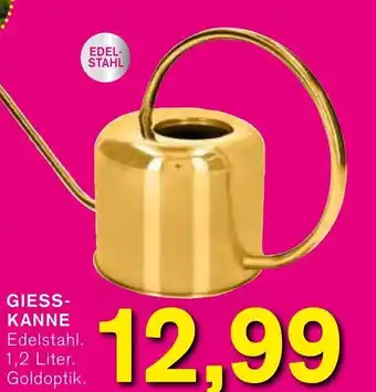 KODi Giesskanne Angebot