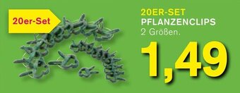 KODi 20er Set Pflanzenclips Angebot