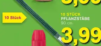 KODi 10 Stück Pflanzstäbe Angebot