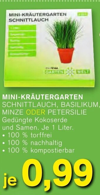 KODi Mini Kräutergarten Angebot