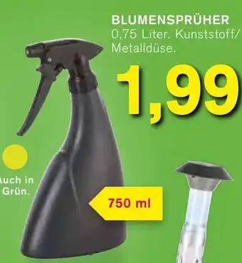 KODi Blumensprüher Angebot