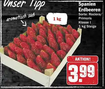 AEZ Spanien Erdbeeren 1kg Angebot