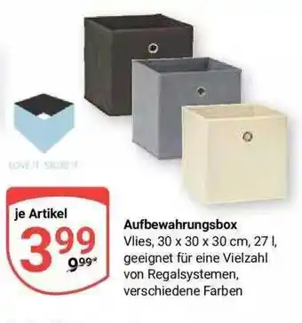 Globus Aufbewahrungsbox Angebot