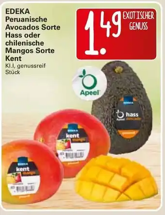 WEZ Edeka Peruanische Avocados Sorte Hass oder chilenische Mangos Sorte Kent Angebot