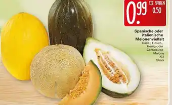 WEZ Spanische oder Italienische Melonenvielfalt Angebot