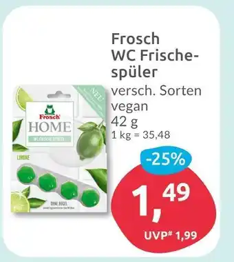 Budni Frosch wc frischespüler Angebot