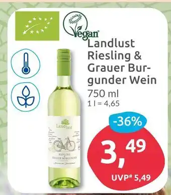 Budni Landlust riesling & grauer burgunder wein Angebot