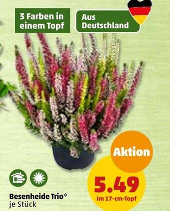 PENNY Besenheide trio Angebot