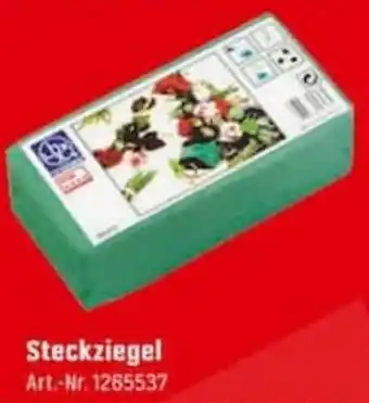 OBI Steckziegel Angebot