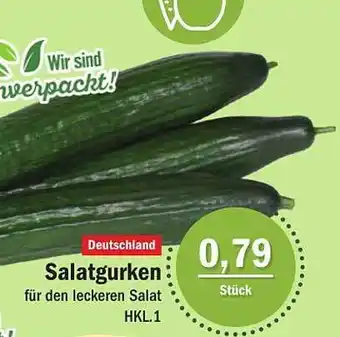 Aktiv Irma Salatgurken Angebot