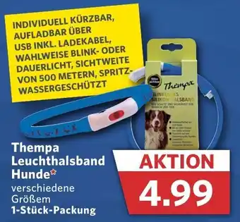 Combi Thempa Leuchthalsband Hunde 1 Stück Packung Angebot