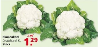 Multi Markt Blumenkohl Angebot