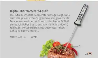 Müller Digital-thermometer scala Angebot