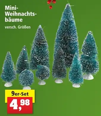 Thomas Philipps Mini Weihnachtsbäume 9er Set Angebot