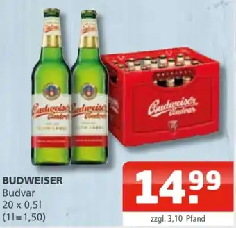 Getränke Oase Budweiser Budvar 20x0,5 L Angebot