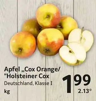 Selgros Apfel „cox orange“ holsteiner cox Angebot